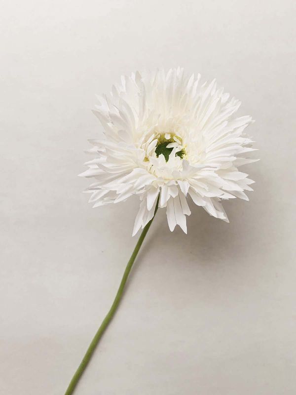 TREND - Gerbera 44 Cm Creme